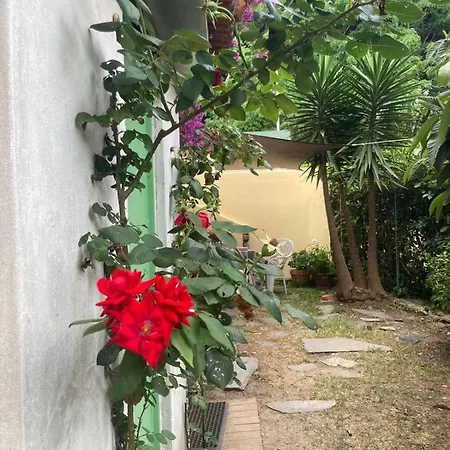 Annagioiosa Villa Viareggio