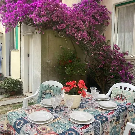 Annagioiosa Viareggio